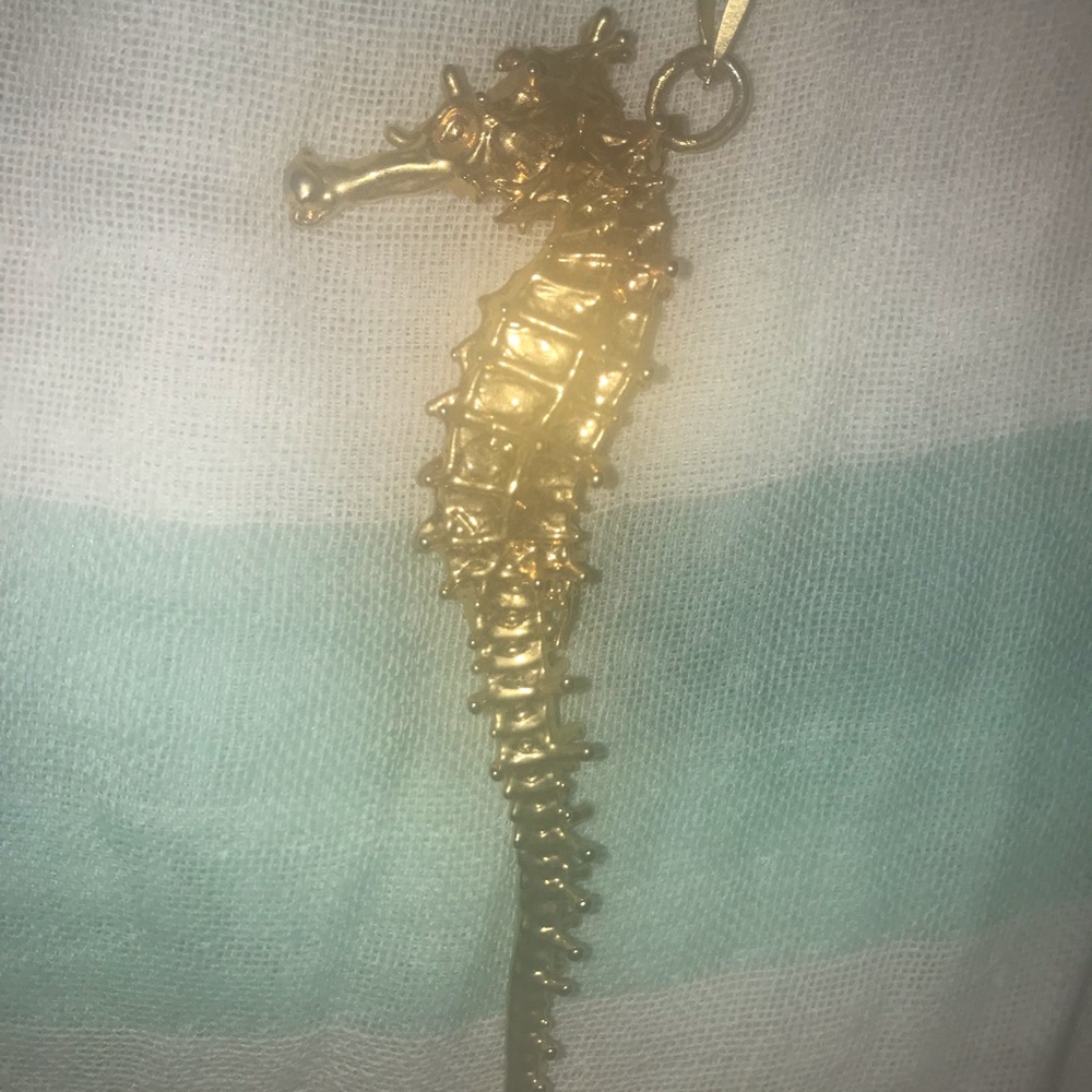 Real seahorse gold plated necklace.